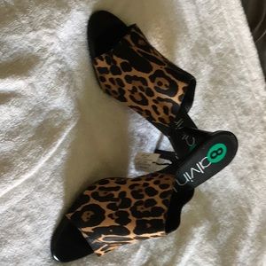 Cheetah Calvin Klein Heals